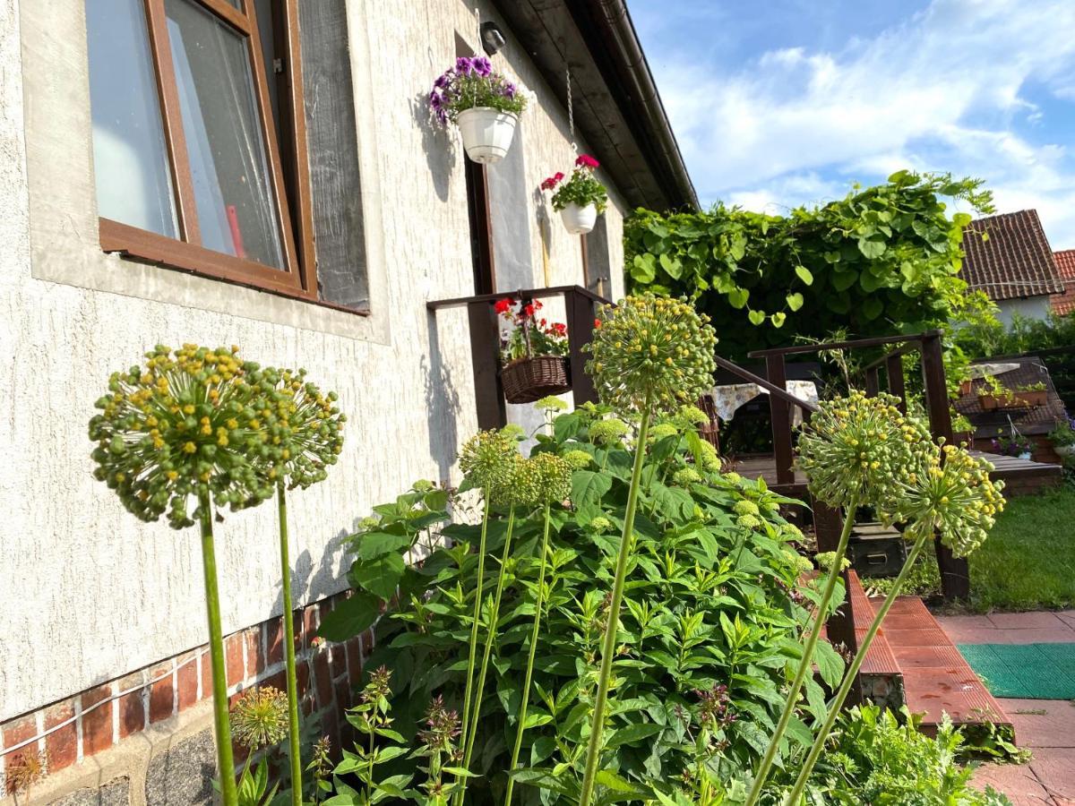 Dom Nad Krutynia Apartment Ukta Exterior photo