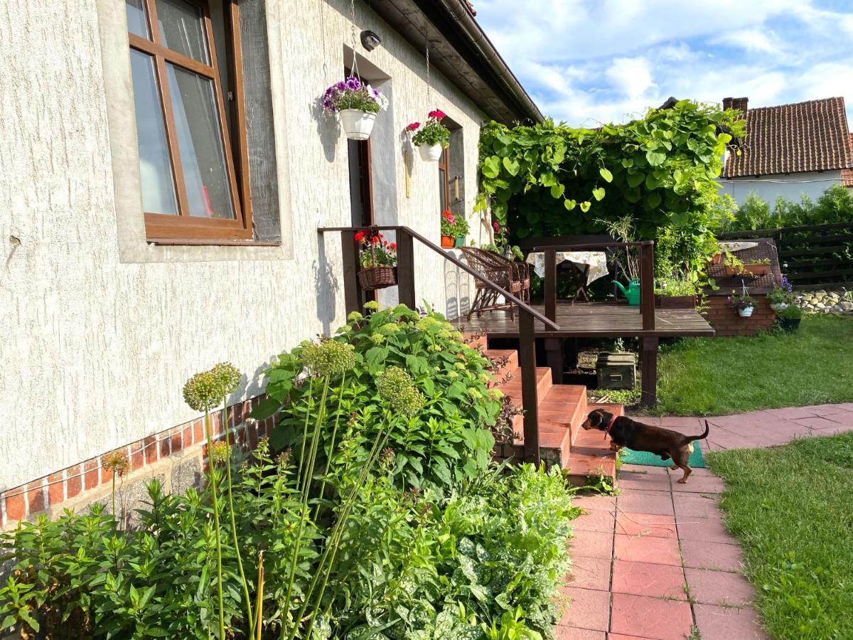 Dom Nad Krutynia Apartment Ukta Exterior photo
